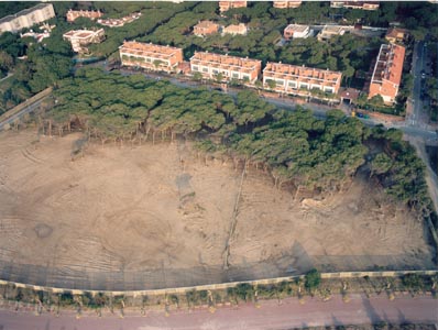 Imatge aèria de la pineda que hi havia on actualment està el Centre Cívic de Gavà Mar (any 2003)